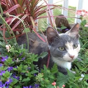 Meet your Posher, Kathleen